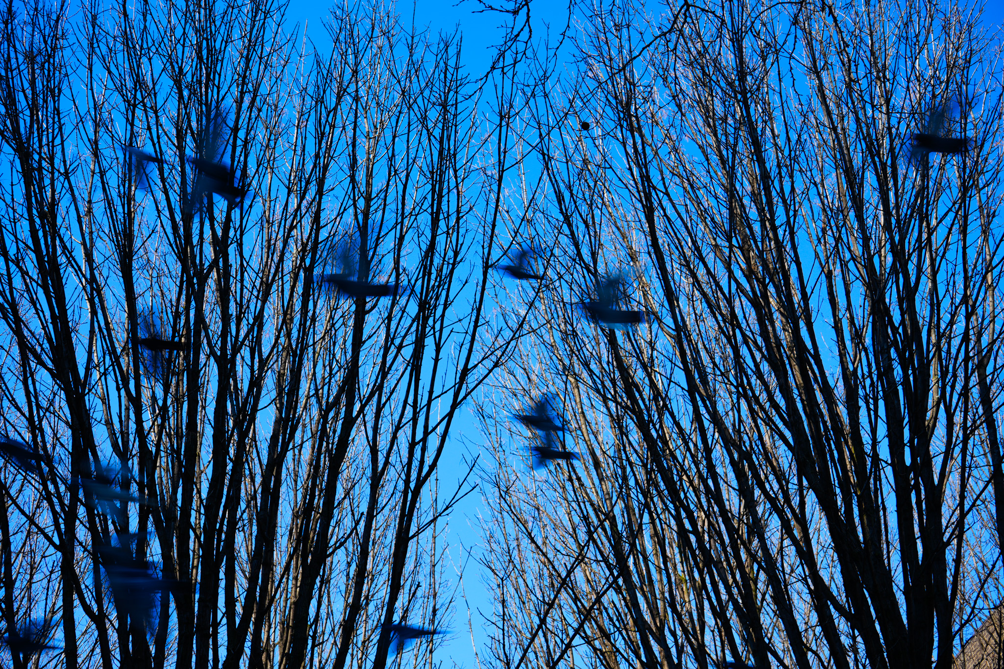 Photograph by Owen Correll